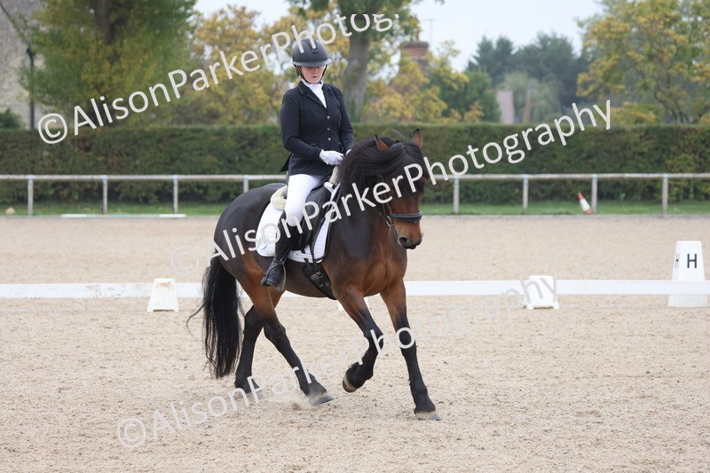 20251012-0527 - Class 4 - Novice 6