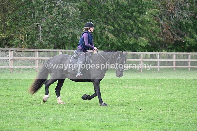 WJ7_9949 - Time 13:13 to 13:55