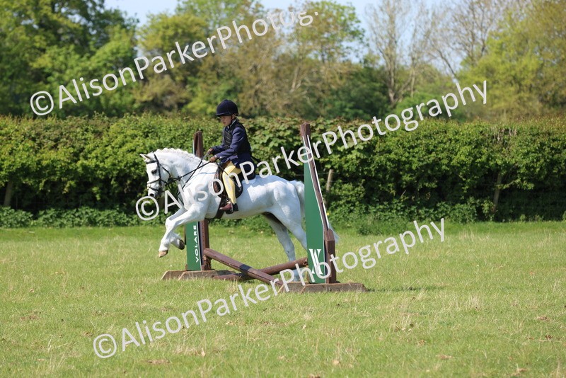 20250427-2394 - Class 19 - Mini Working Hunter