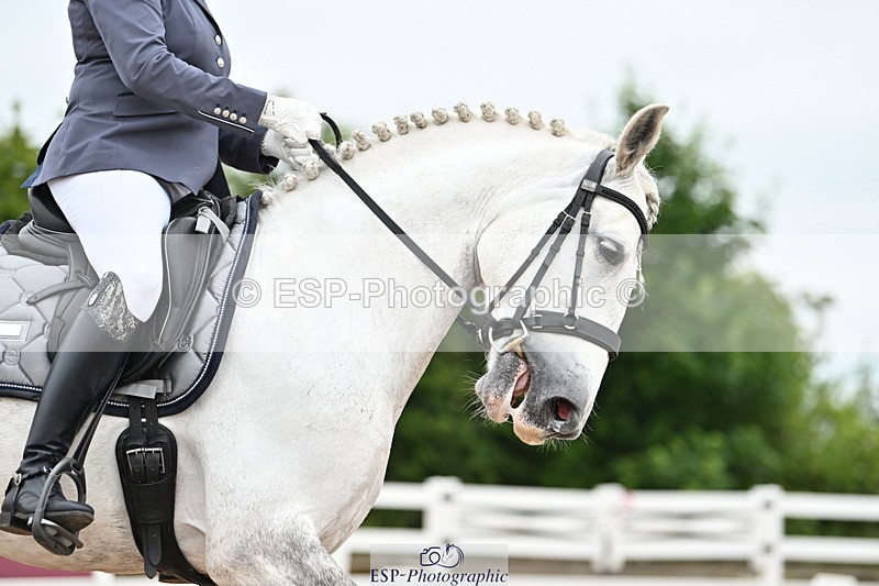 240623A-161417-19886 - Cls 54 BD Medium 73