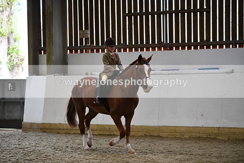 WJ5_6380 - Class 9 Ridden Veteran