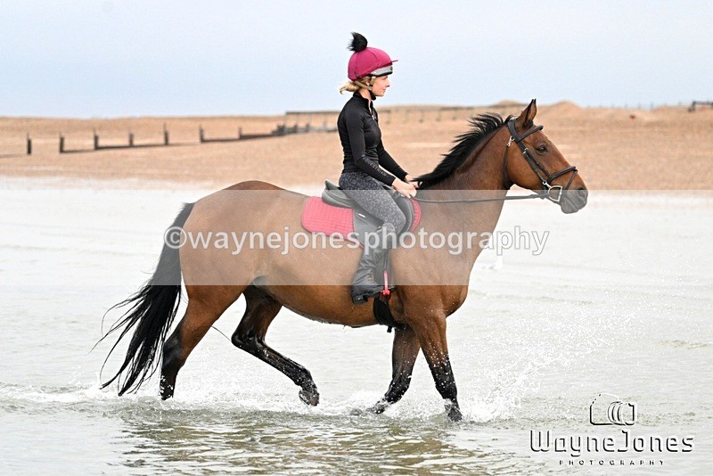 WJ7_9254 - Hayling Island Beach Shoot 22-09-24