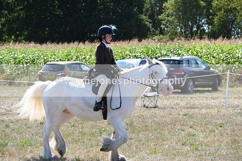 WJ6_8987 - Class 38 Ridden Riding Horse/Pony