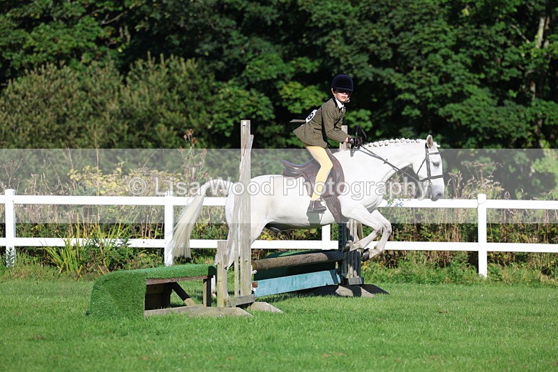3E7A7507 - Class 1: Novice Working Hunter Pony