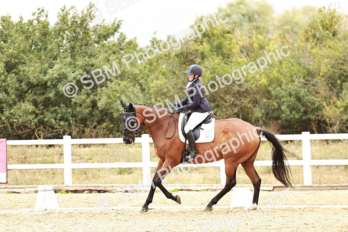 SBM_003781