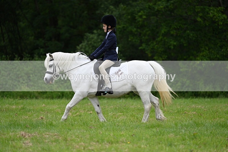 WJ7_4478 - Class 14B Prettiest Mare