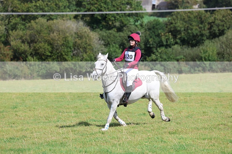 3E7A6691 - Class 1: Trebudannon Open: Pheasant Feeder
