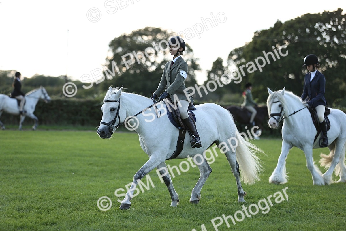 SBM_29552 - S7 - Novice & Newcomers Ridden Pony