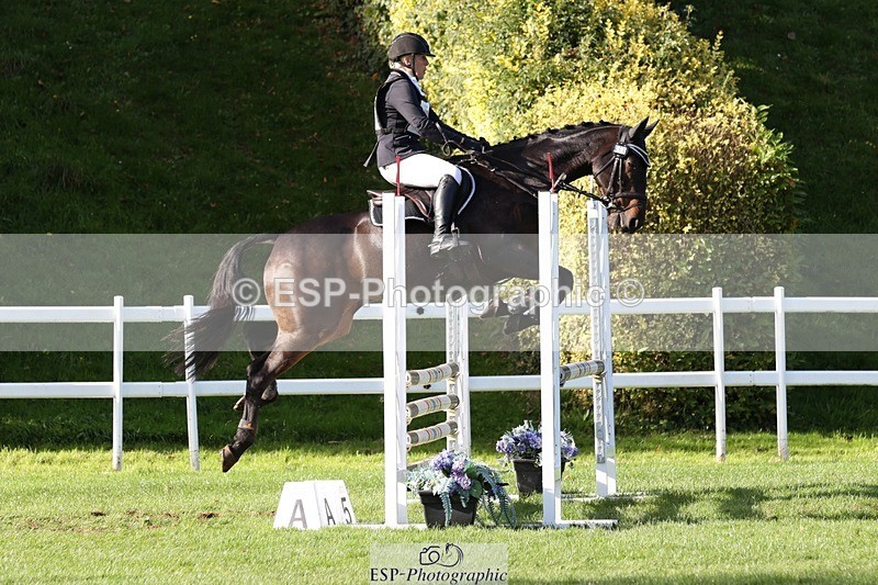 231022-145258-29491 - 464-IMPERIAL.TANGLE-Deborah.Burrell-TrotUp+SJ