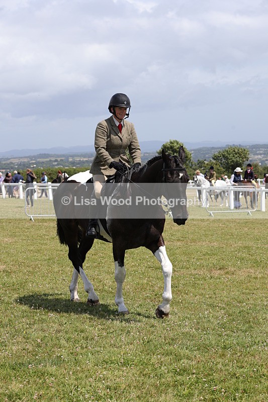 1X9A4596 - Class 34: Veteran Ridden