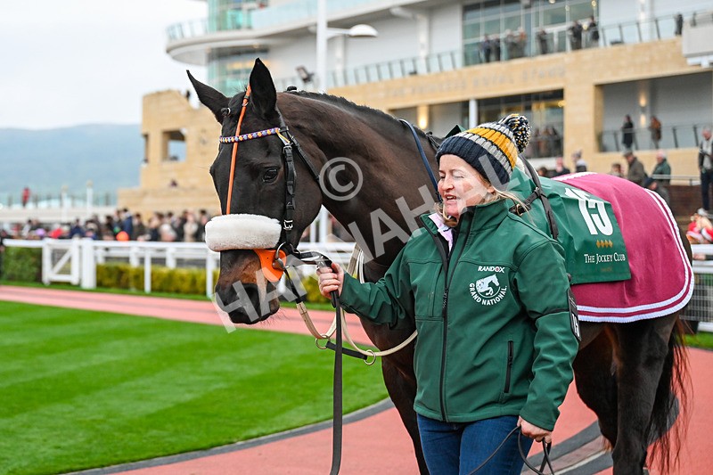 131224-Race 6-Three By Two-9860 - Race 6