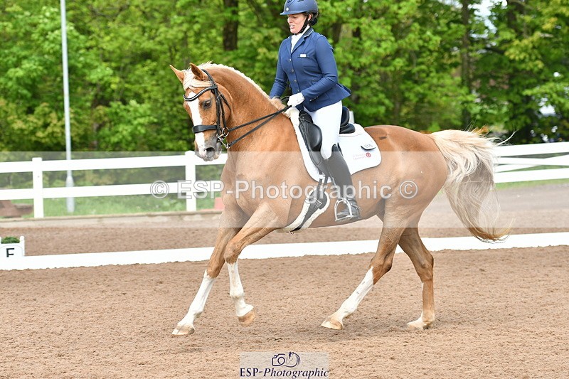 230511A-145059-01030 - BD Cls 14 Adv Medium 98