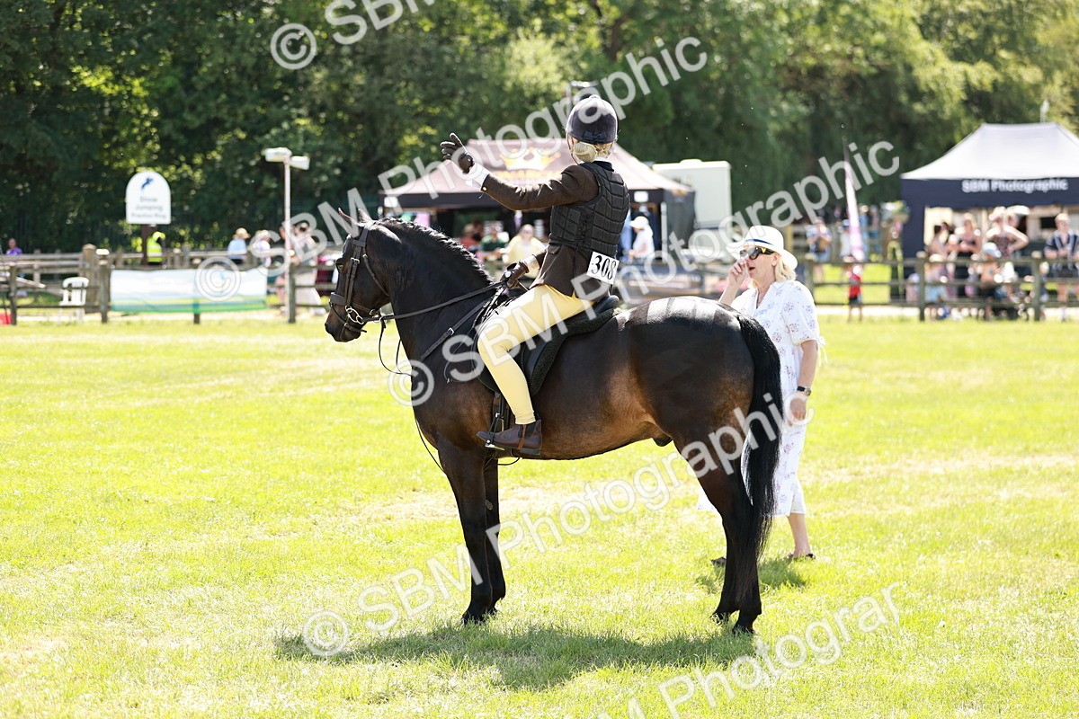 SBM_17633 - Class 112-113 - BSPS LIHS Working Sports Pony