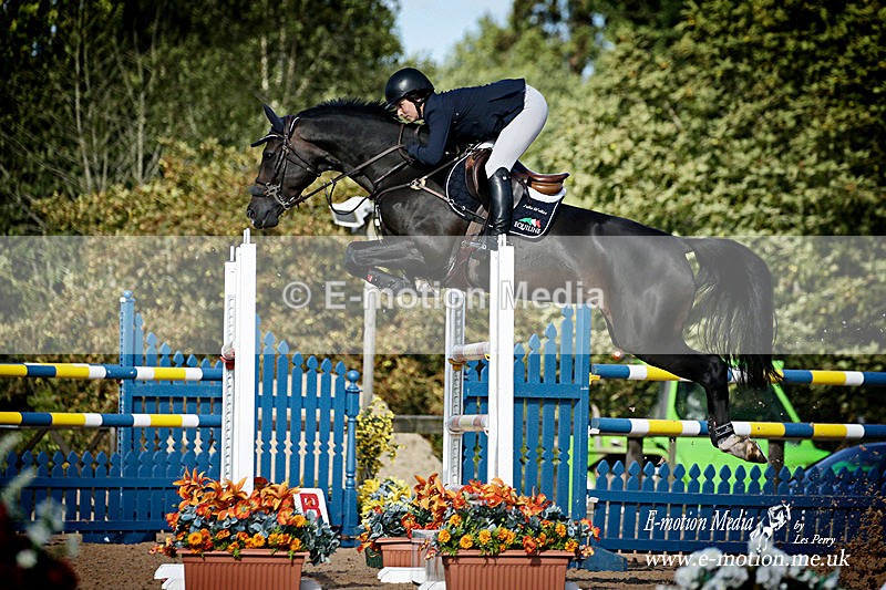 SJ 170817 -2267a - Equestrian