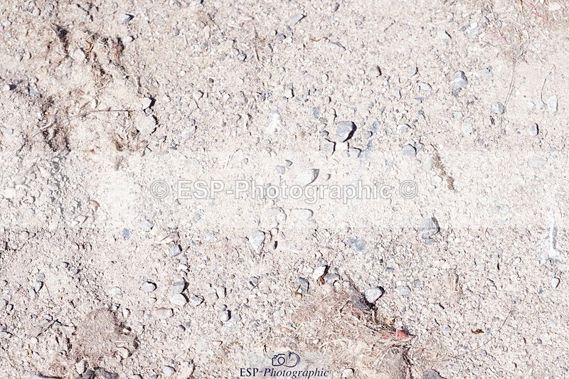 250503-141004-01551 - Cls 28 Springboard