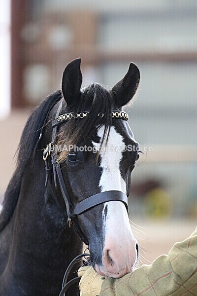 SIAL9416 - Indoor Classes