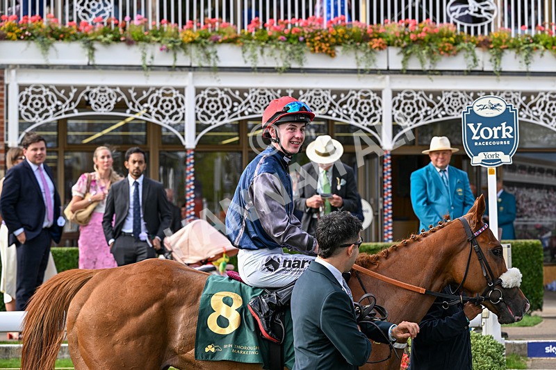 190826-Race 6-Miss Yechance-1723 - Race 6 16.45pm Irish Thoroughbred Marketing Handicap