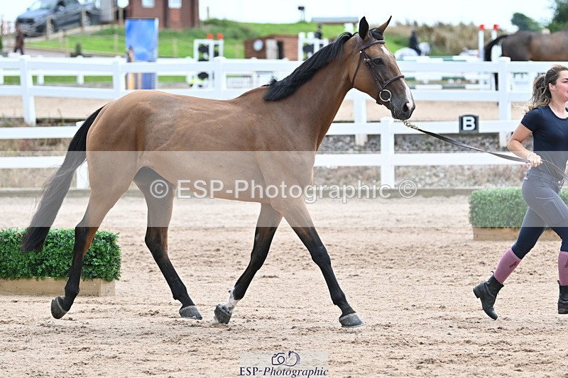 240717A-143052-02096 - Trot Up 2pm to 3pm - This folder is not in time order