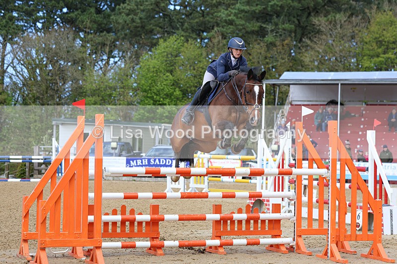 3E7A2131 - Class 8: Senior Foxhunter/1.20 open
