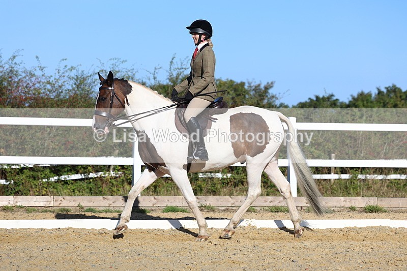 3E7A5261 - Class 8: Small Ridden Hunter