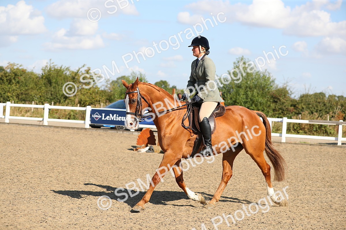 SBM_02367 - Class 43 Ridden Competition Horse/Pony