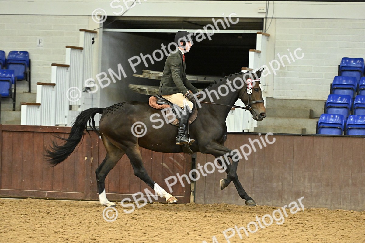 SBM_002075 - Class 23 - BSHA Ridden Show Hunter