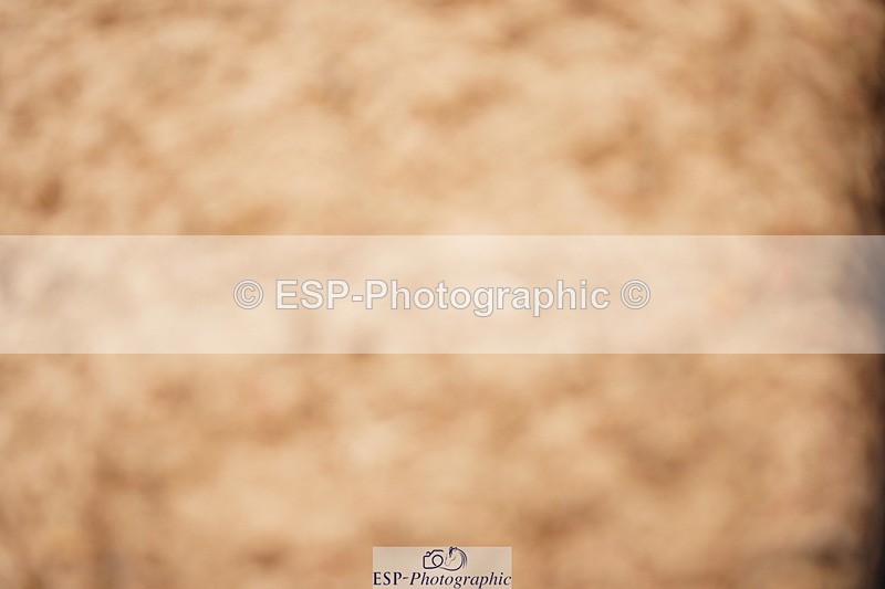 240524A-113000-03130 - Cls 14 Newcomers