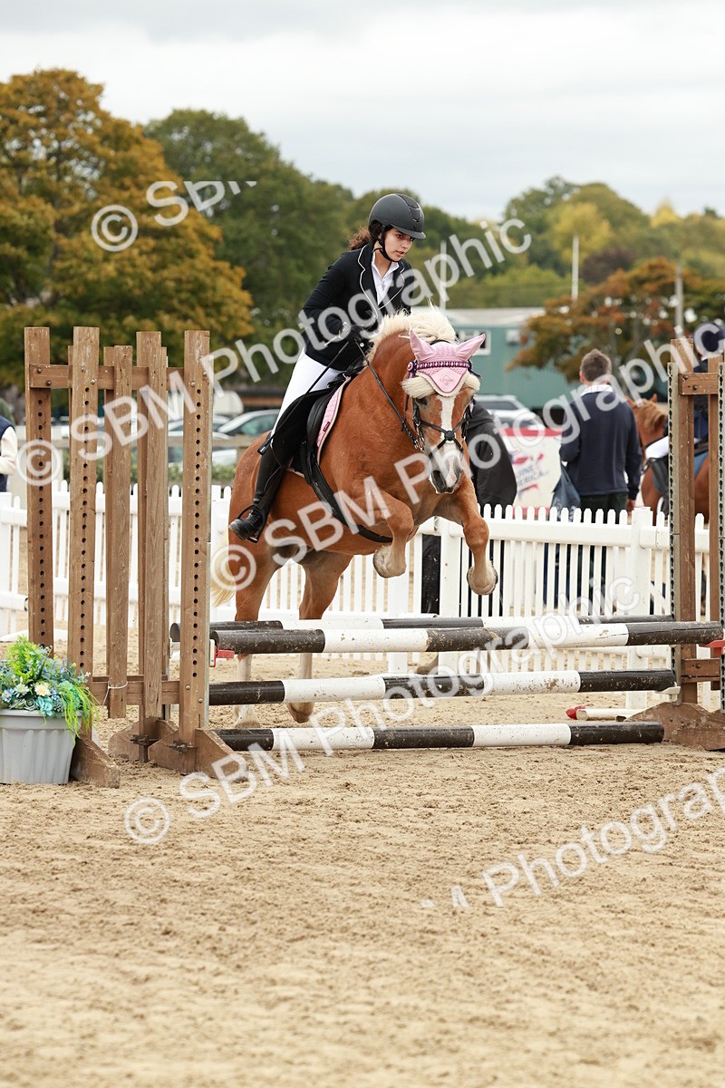 SBM_67105 - J13 - Junior Pony 60cm Championship