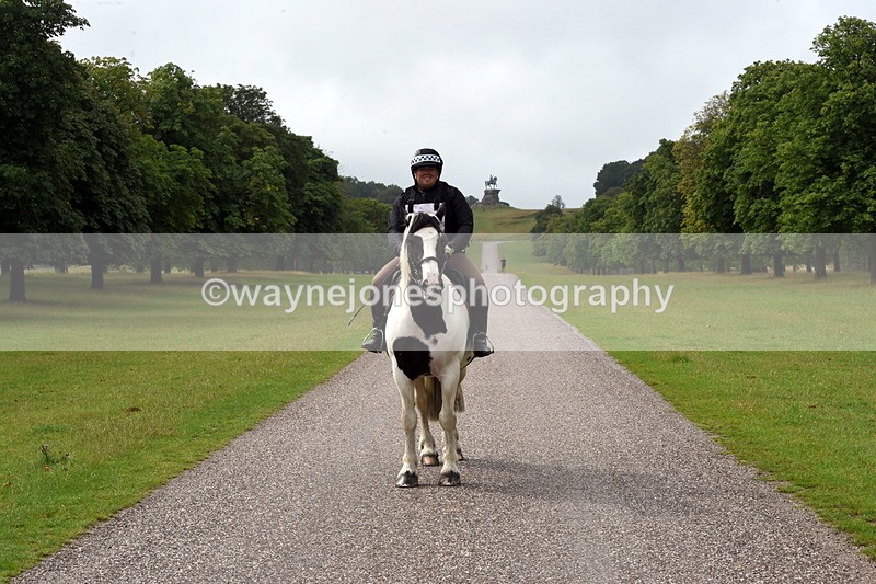 TT3_8268 - Time at Crossing 10:16 to 11:38