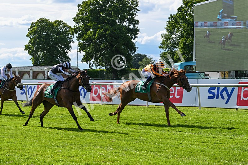 160624-Race 3-Mereside Diva-8532 - Race 3