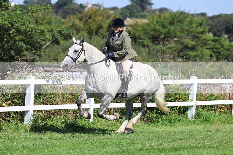 3E7A8416 - Class 4: Novice working Hunter