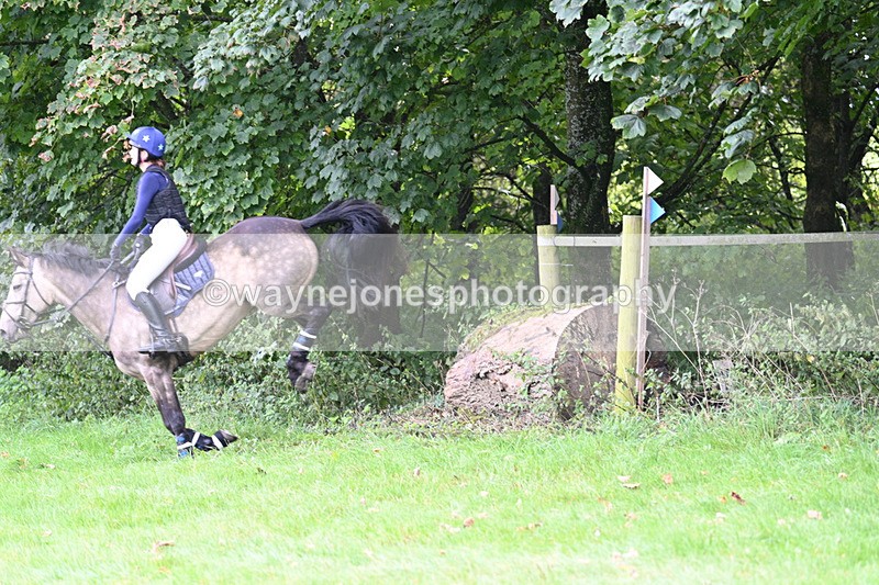 WJ7_7782 - Time 13:50 to 14:03