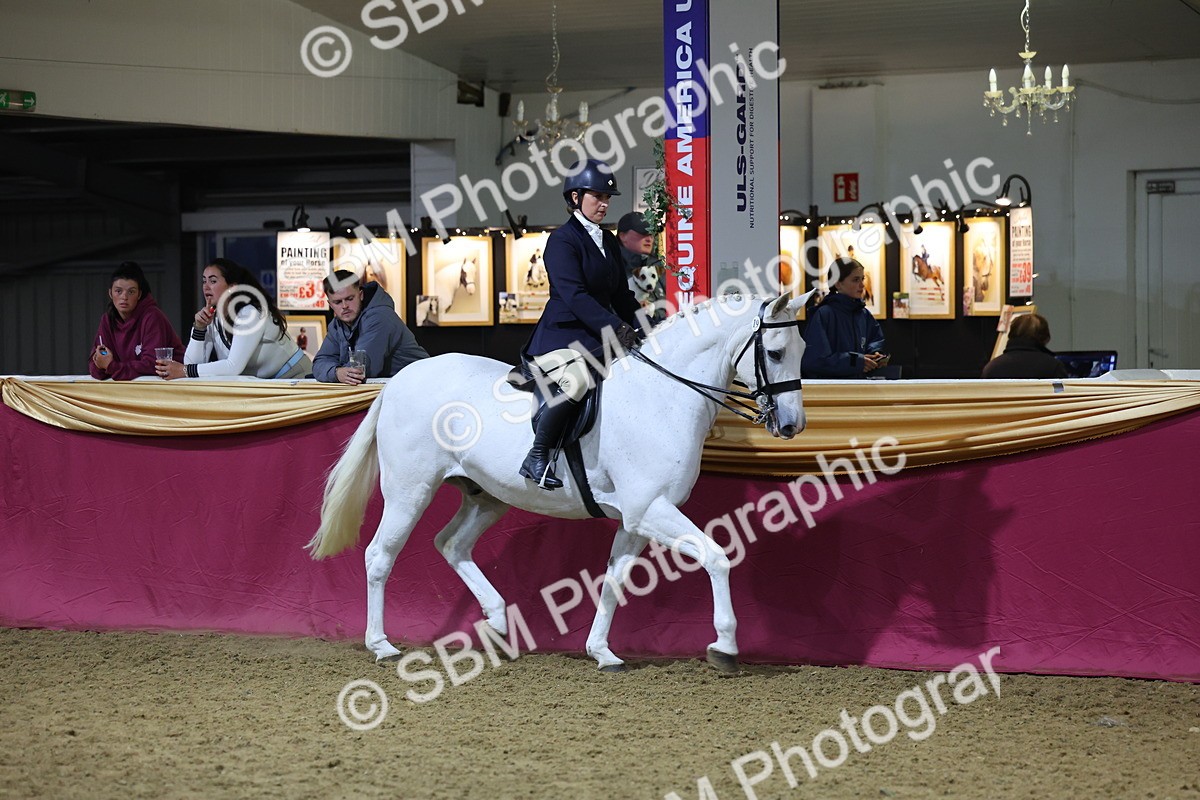 0B8A4451 - Class O Ridden Show Horse Champ