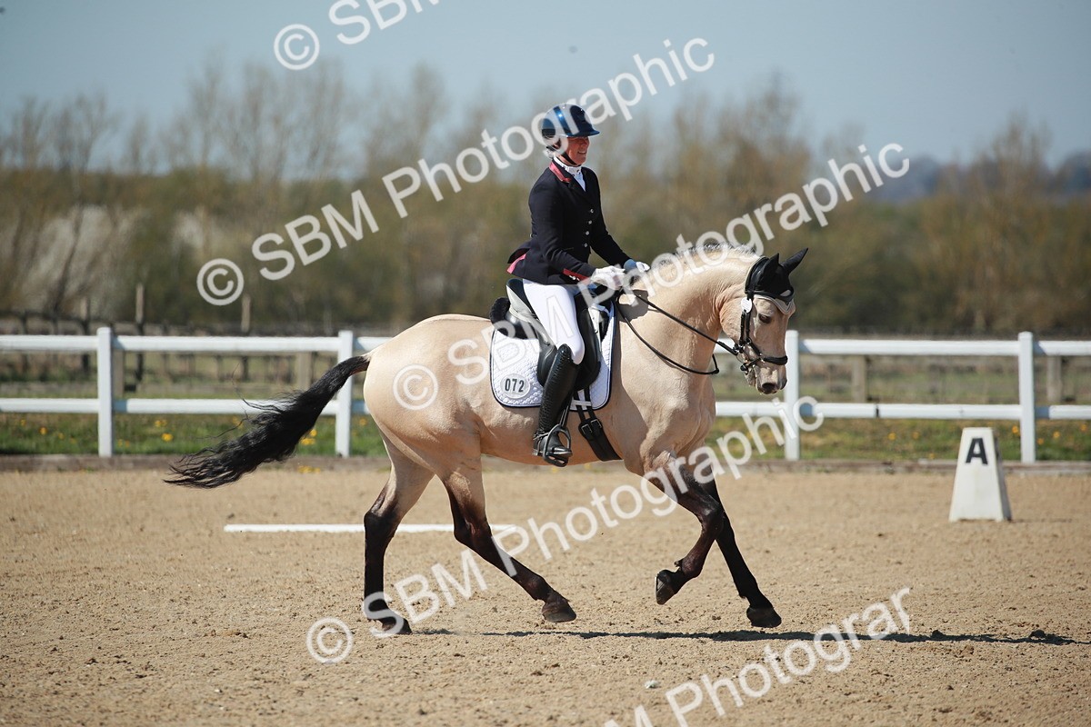 SJ3_1036 - Class 2-5-4-6-7 - Paso Doble-Golega-Sevilla-Lisboa-Novato