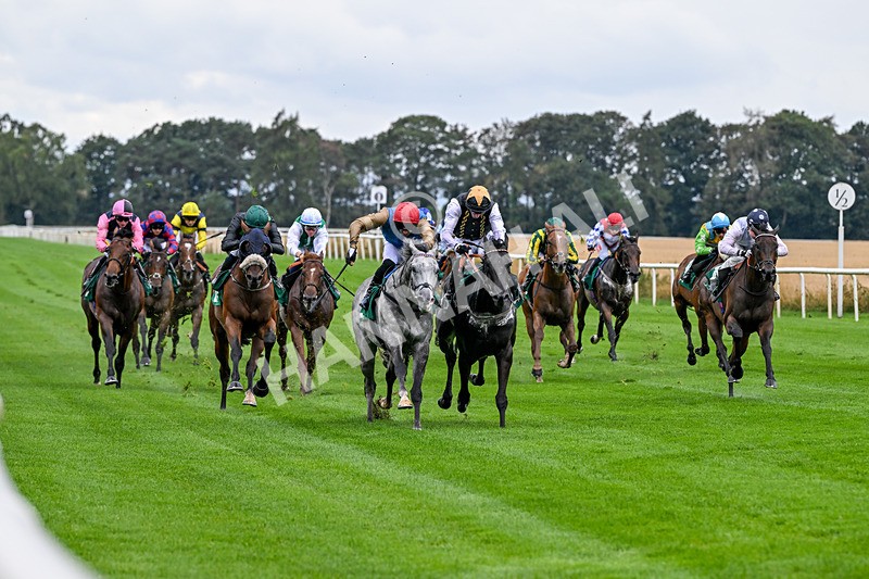280826-Race 4-Deep Havana-4484 - Race 4 4pm Ivegate Building Handicap