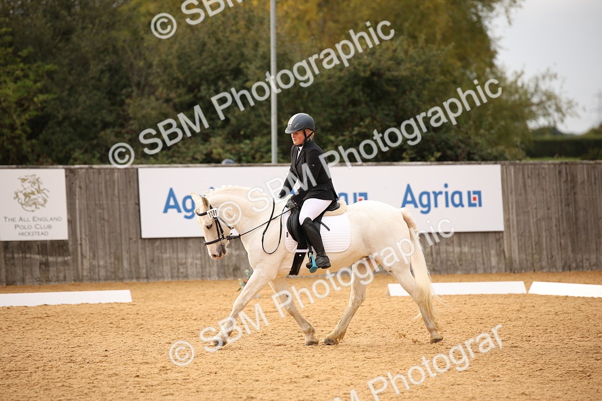 SBM_12311 - D3 Small  Tour Championship Intro A