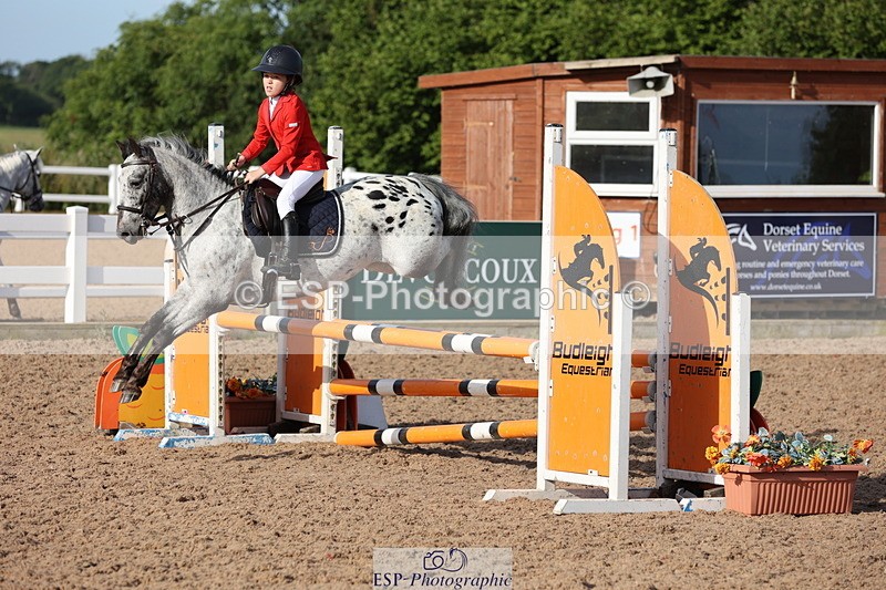 240629A-080019-02361 - Cls 16 British Novice and 80cm Open