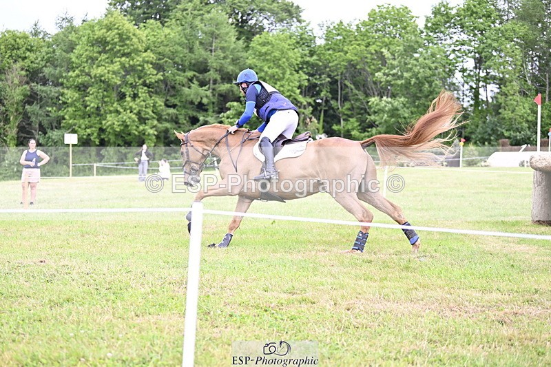 250524A-164350-14605 - C-273-Tim.Cheffings-HEARSAY.LARK.RISING