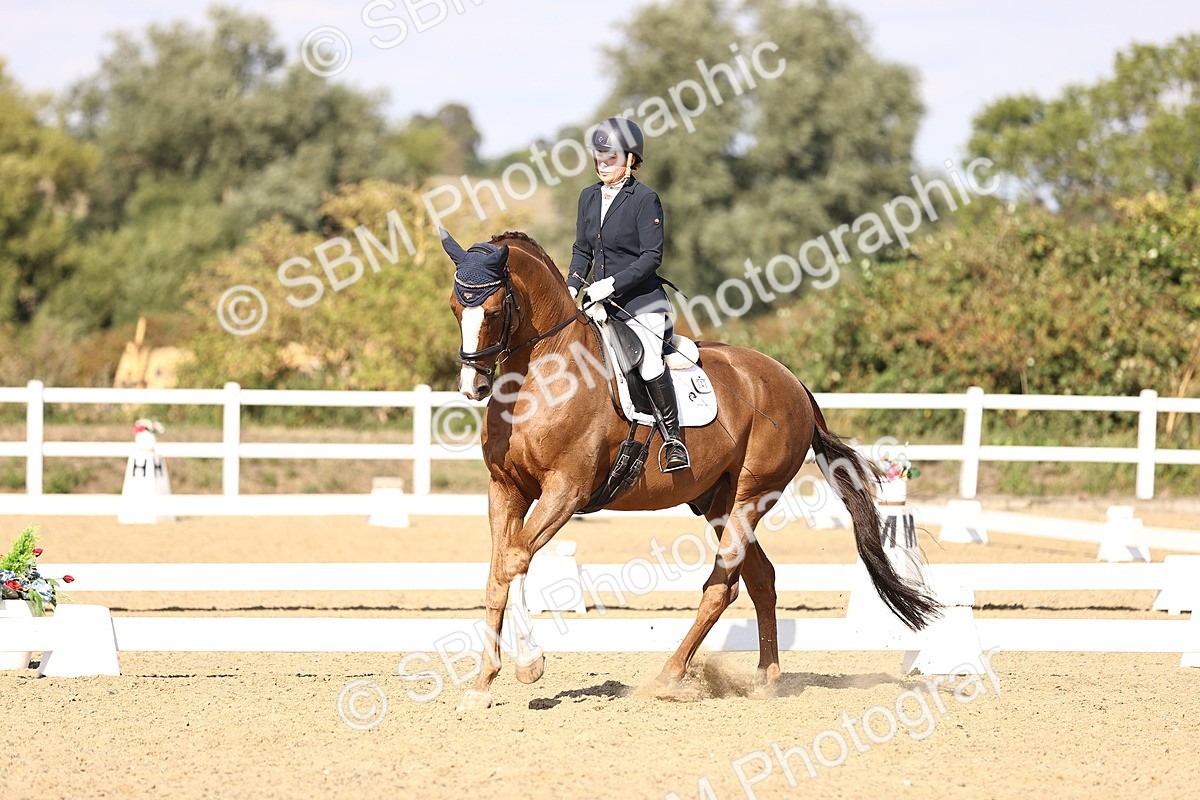 SBM_015251 - Class 8 - Medium 5