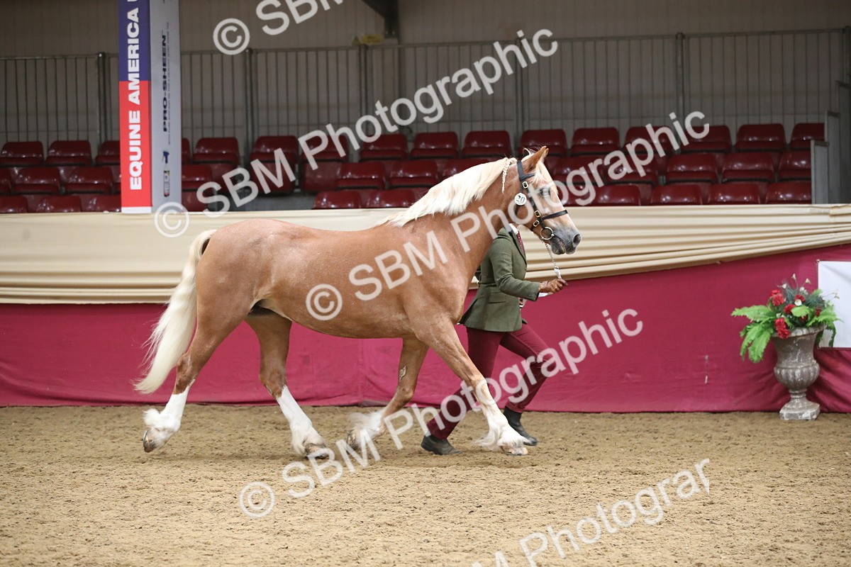 SBM_05283 - Class 8R - Regional IH Veteran
