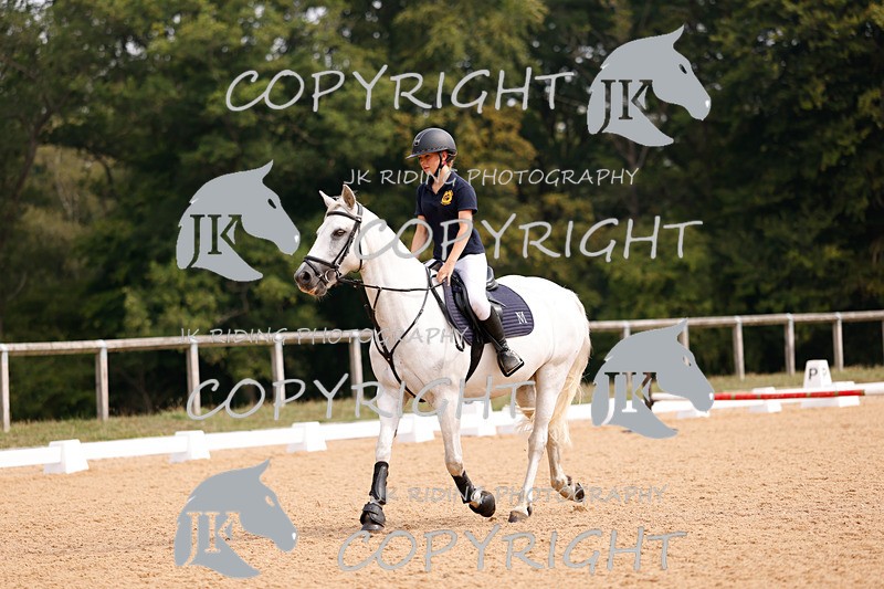 _R6A2424 - Dressage Morning