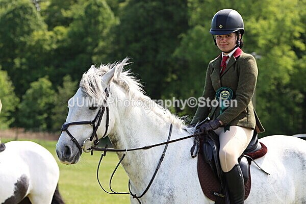 IMG_3467 - Working Hunter