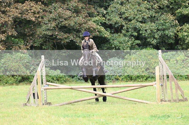 3E7A5803 - Class 26 and 27: 70cm Working Hunter