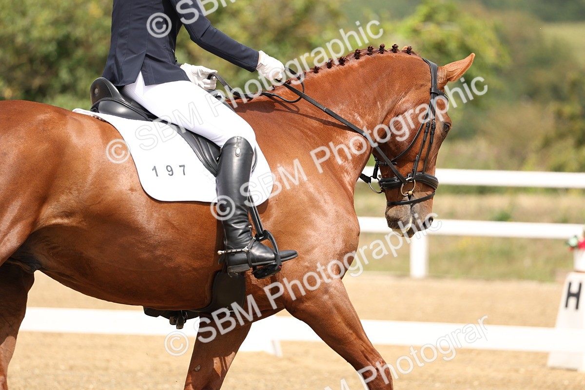 SBM_006319 - Class 6 - novice 6 - 11.50-12.46