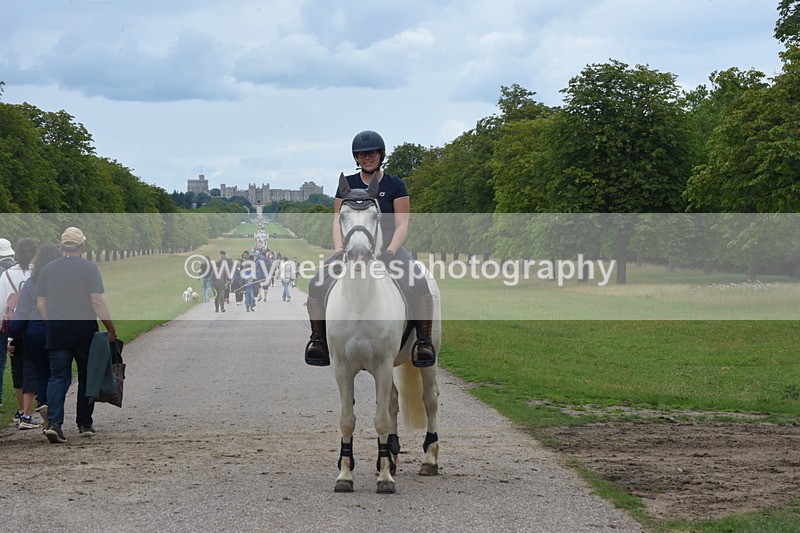 TT3_0074 - Time at Crossing 13:17 to 14:48