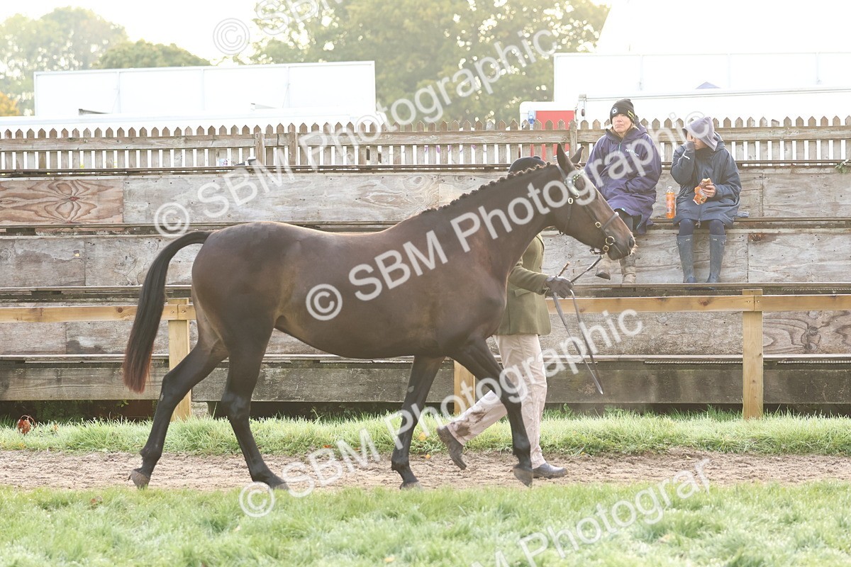 SBM_54493 - S38 - Starters Best Turnout