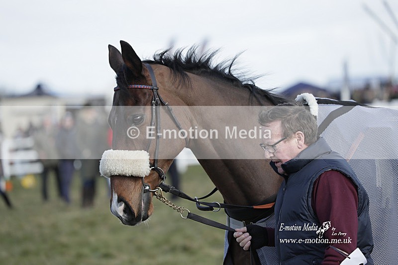 PtP 260223 884 - South & West Wilts Point-to-Point Larkhill 26/02/23