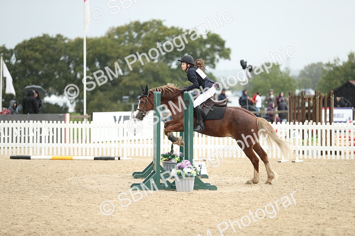 SBM_34448 - J60 Clear Round 50cm