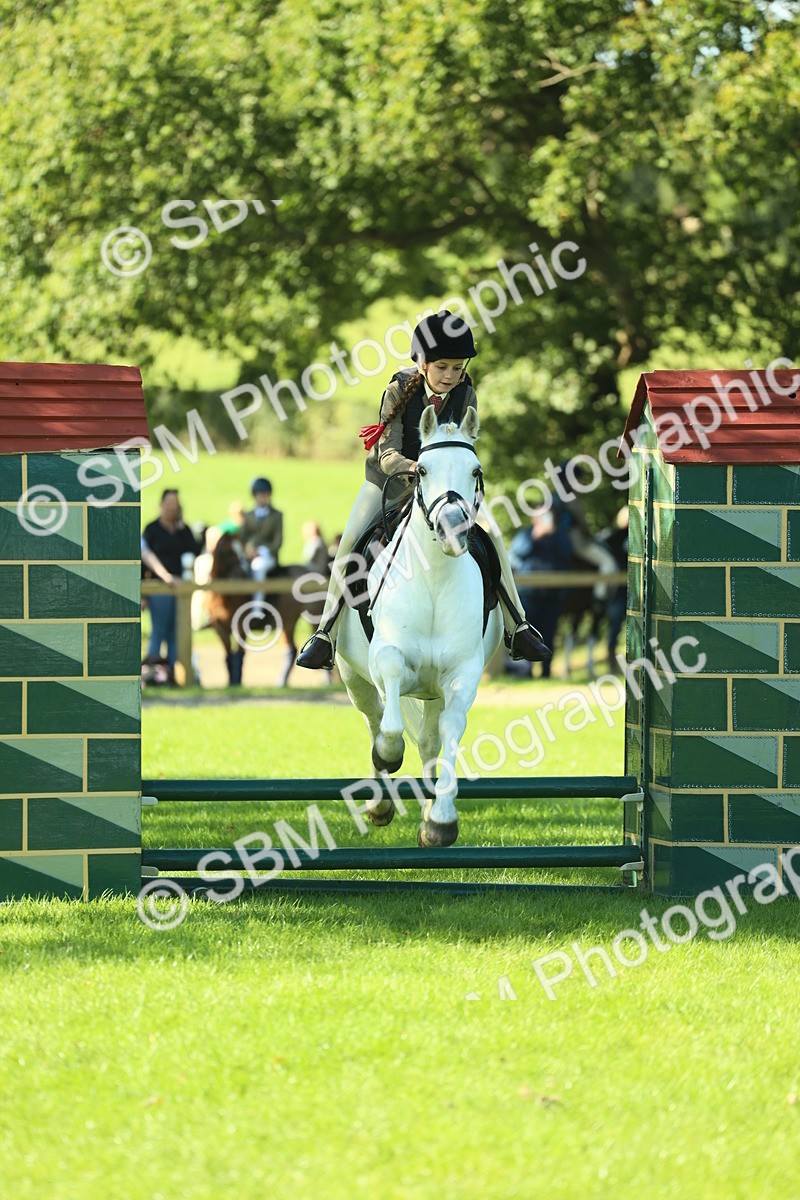 SBM_37518 - S29 - Novice & Newcomers Working Hunter Pony