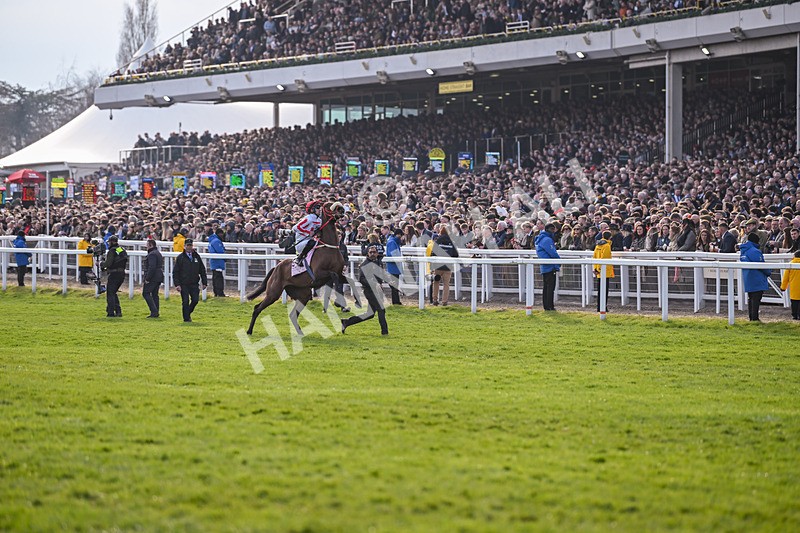 140325-The Real Whacker-WR-5399 - 14th March